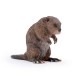 BEAVER