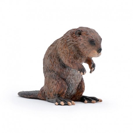 Beaver