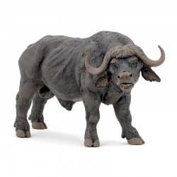 African buffalo