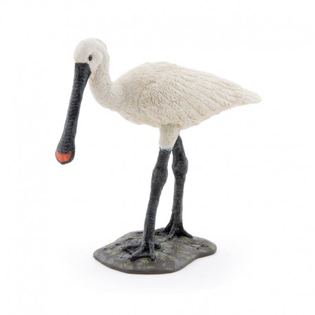 COMMON SPOONBILL