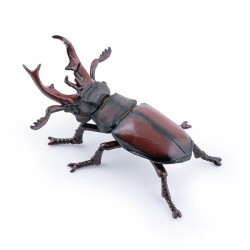 STAG BEETLE