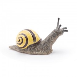 GROVE SNAIL