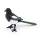 MAGPIE