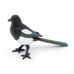 MAGPIE