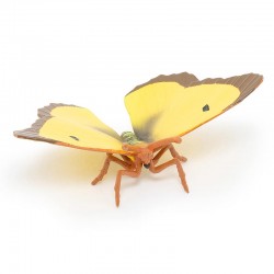 CLOUDED YELLOW BUTTERFLY