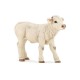 VEAU CHAROLAIS
