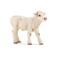 Veau charolais