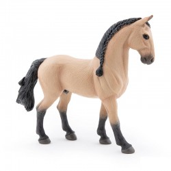 LUSITANO HORSE