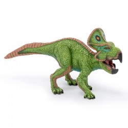 PROTOCERATOPS