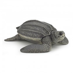 LEATHERBACK TURTLE