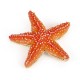 STARFISH