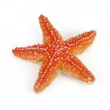 Starfish