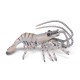 SHRIMP