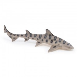 Requin leopard