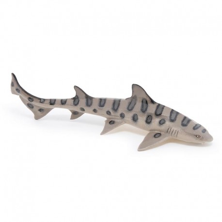 LEOPARD SHARK