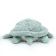 Ptipotos Tortue Geante Menthe