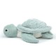 Ptipotos Tortue Geante Menthe