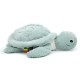 Ptipotos Tortue Geante Menthe