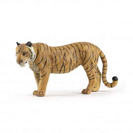 Large tigress