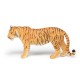 LARGE TIGRESS