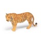LARGE TIGRESS