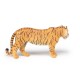 Large tigress