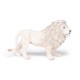 Large white lion