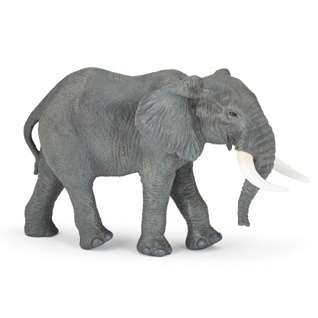 LARGE AFRICAN ELEPHANT