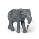 Grand éléphant d'Afrique