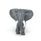 LARGE AFRICAN ELEPHANT