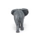 LARGE AFRICAN ELEPHANT