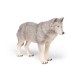 LARGE WOLF