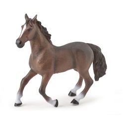 BIG HORSE