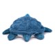 Ptipotos Tortue  Maman & Bébé Bleu