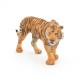 TIGRE