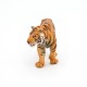 TIGRE