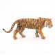 TIGRE