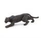 BLACK LEOPARD