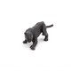 BLACK LEOPARD