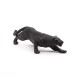 BLACK LEOPARD