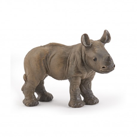 Rhinoceros calf