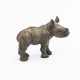 BÉBÉ RHINOCÉROS