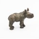 Rhinoceros calf