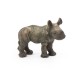 BÉBÉ RHINOCÉROS