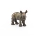 Rhinoceros calf