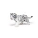 WHITE TIGER CUB