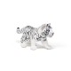 WHITE TIGER CUB
