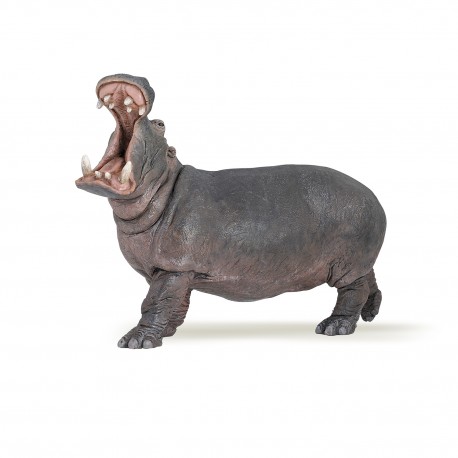 Hippopotame adulte