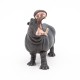 HIPPOPOTAME ADULTE