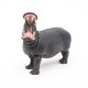 HIPPOPOTAME ADULTE